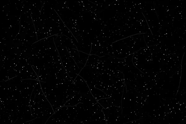 Dust and hair mix overlay preview