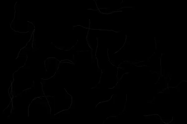 Fine fibres overlay preview