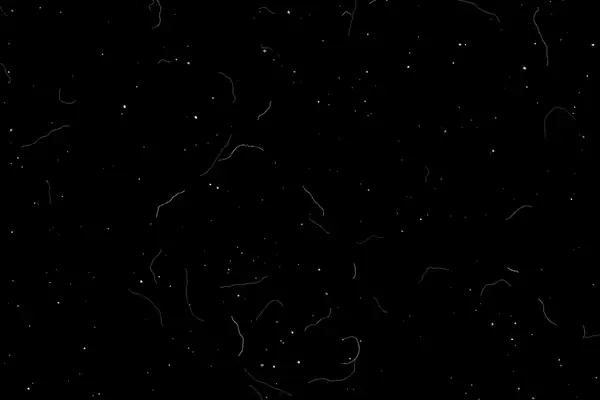 Hair and fibres overlay preview