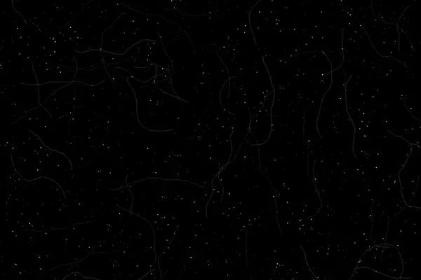 Lint and fibres overlay preview