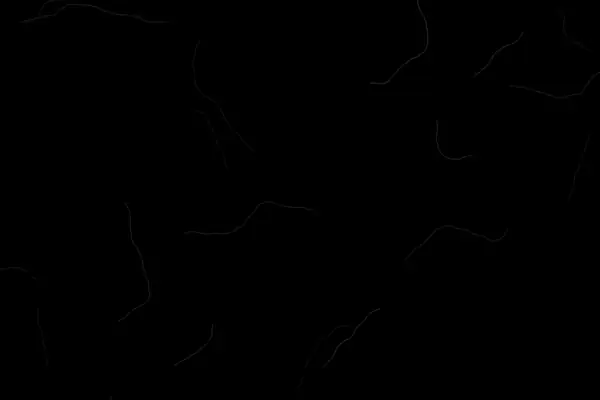 Loose hairs overlay preview