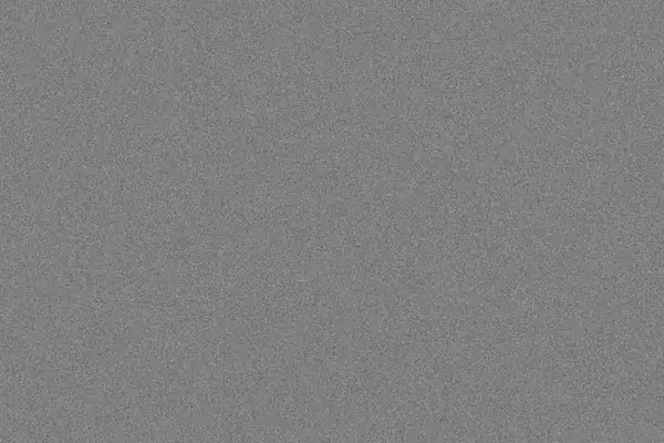 ISO 160 portrait grain overlay preview